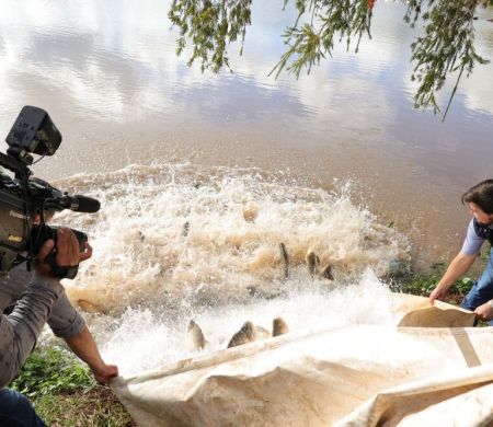 Prefeitura de Dourados 'despeja' 2,5 toneladas de peixes em lago para Festa da Páscoa