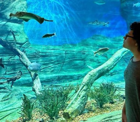 Bioparque Pantanal estará aberto para visitantes no Dia do Trabalhador