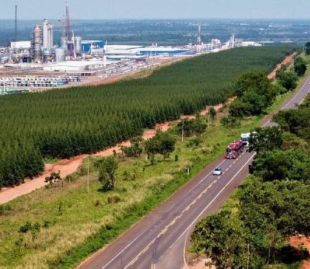 Governo confirma leilão da Rota da Celulose com R$ 10 bilhões em jogo