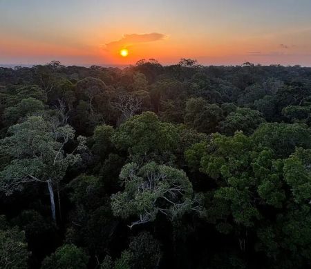 Tem início esta noite em Brasília a 5ª Conferência Nacional do Meio Ambiente