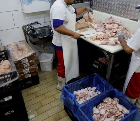 Prazo para Brasil ficar livre da gripe aviária inicia hoje