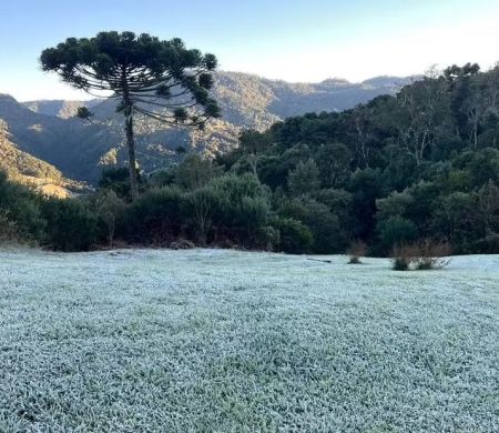 Geada e -6ºC marcam o dia mais frio do ano em Santa Catarina