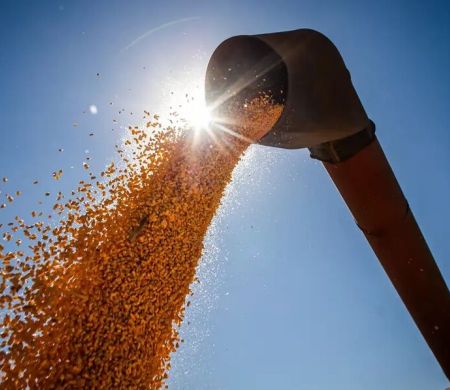 País poderá ter novo recorde na produção de grãos na safra 2024/2025