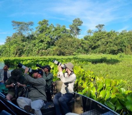 Pantanal é destaque como destino estratégico na observação de aves