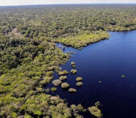Fundo Amazônia bate recorde ao destinar mais de R$ 1 bi em 25