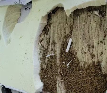 Colchão recheado de maconha leva advogada para a cadeia 