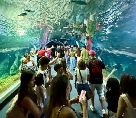 Bioparque bateu recorde de visitantes no mês de julho 