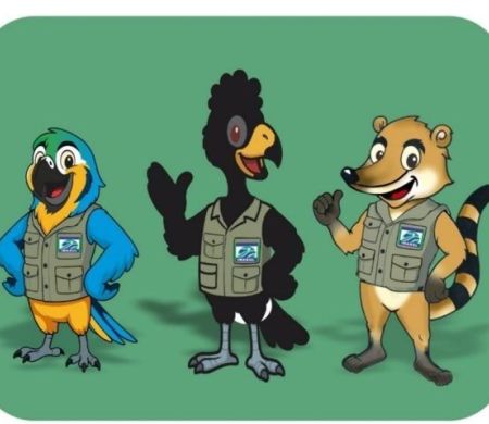 Quati é o novo mascote do Instituto de Meio Ambiente de MS