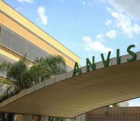 Medicamento oral para tratar tumores cerebrais é aprovado pela Anvisa