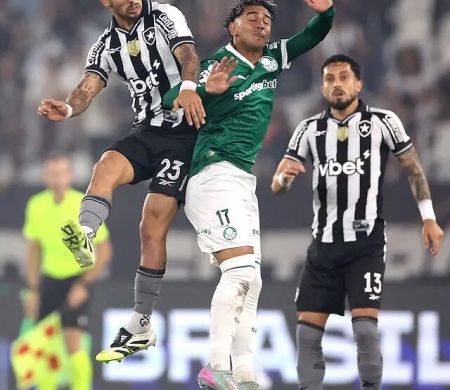 Palmeiras vence Botafogo no estádio Nilton Santos