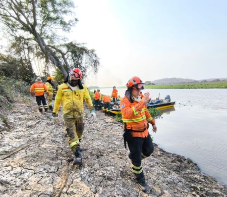 Queimadas caem quase 99% em 2025 no Pantanal 