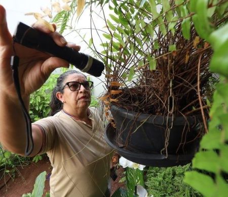 Dengue infecta quase 8 mil moradores em MS