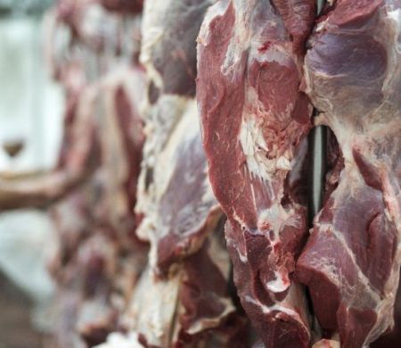 Exportações de Mato Grosso do Sul somam US$ 7,24 bilhões até agosto