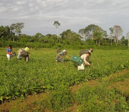 Lista de desconto em crédito da agricultura familiar é ampliada