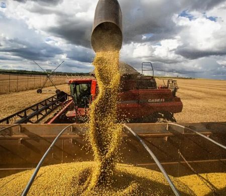 Preço em queda dos alimentos vai permanecer, diz ministro