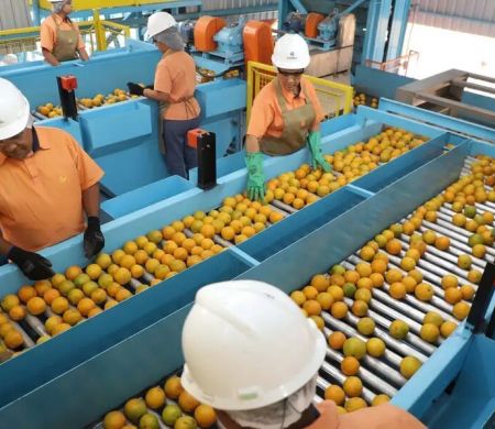 Produtos de exportação atingidos por tarifaço caem 22% em agosto