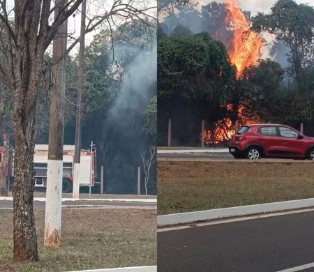 Incêndio atinge área de mata no Parque dos Poderes em Campo Grande