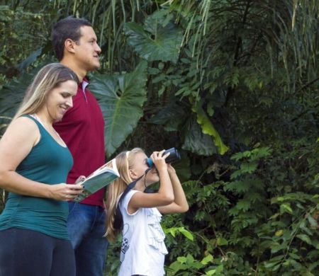 Passarinhar na Serra da Bodoquena é um deleite na chegada da primavera