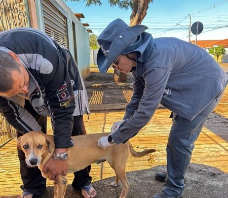 Campanha de Vacinação contra a Raiva segue em bairros de Campo Grande