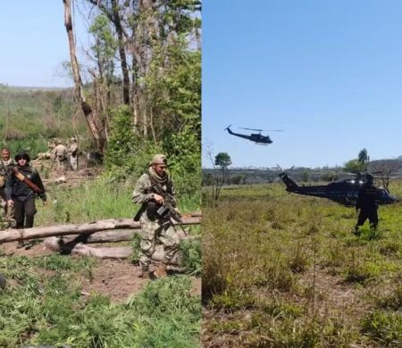 Operação elimina 800 t de maconha e causa prejuízo milionário ao tráfico