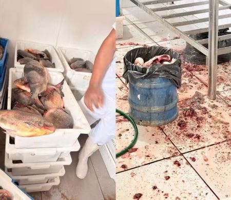 Decon fecha peixaria com 3,3 toneladas de produtos impróprios na capital