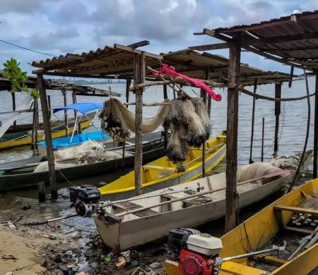 Período de defeso começa e pesca comercial fica proibida em todo país