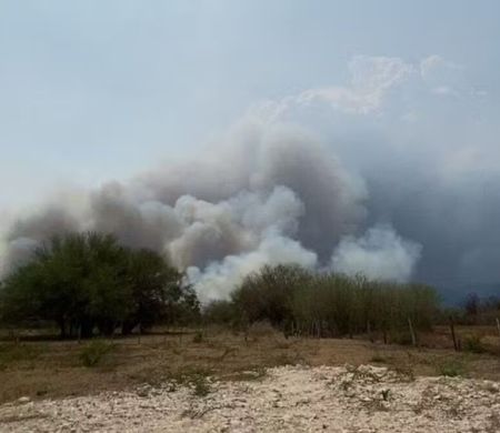 Fogo volta a atingir área de proteção ambiental em MS