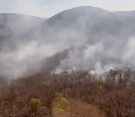 Incêndios florestais levam MS a decretar situação de emergência 