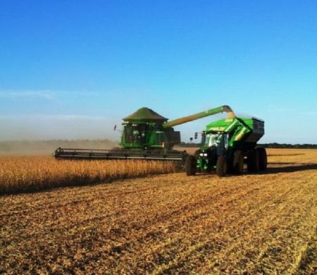 PIB cresceu em todas as regiões, com destaque para áreas agroindustriais