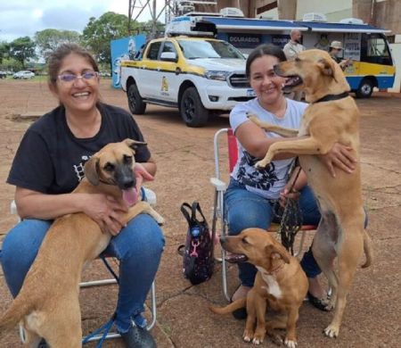 Governo reinicia Caravana da Castração em Eldorado, na quinta-feira