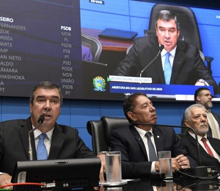 Riedel diz que aliança institucional garante estabilidade e visão de futuro